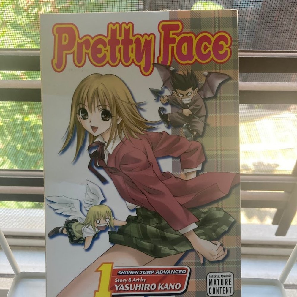 Pretty Face, Vol. 1 Paperback – August 7, 2007
